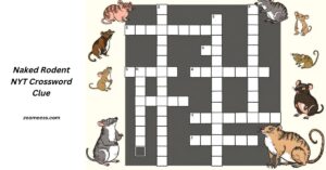 Naked Rodent NYT Crossword Clue_ Understanding the Puzzle